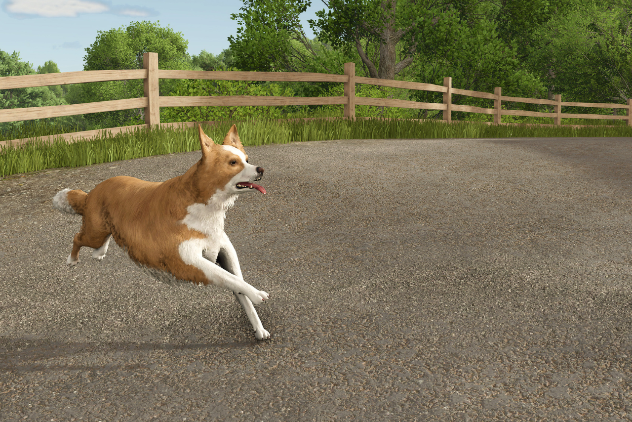 https://s3.gaming.news/wp-content/uploads/2025/10/Farming-Simulator-25-Border-Collie.png